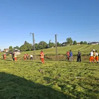 20260523_192445.jpg
